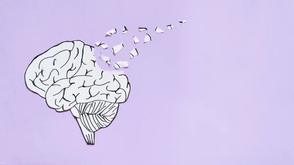 İnsan beyninin sunduğu beyin bozukluğu sembolü mor arkaplan üzerinde yırtılan form kağıdı. Alzheimer hastalığı, bunama ya da hafıza kaybı için yaratıcı bir fikir. Ruh sağlığı konsepti.