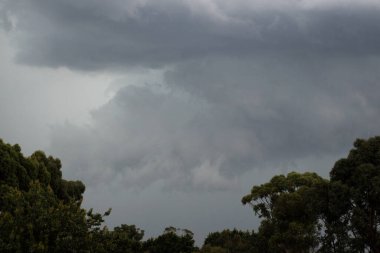Bir fırtına vurmadan önce çok karanlık fırtına bulutları, önplanda karanlık bitki örtüsü