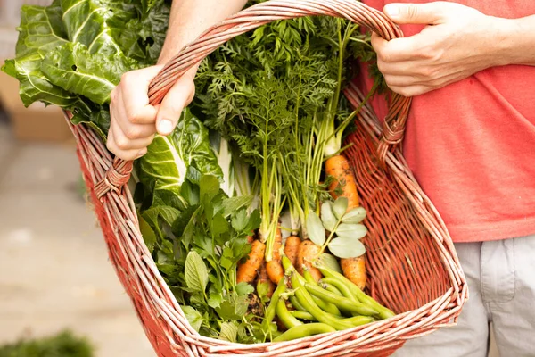 Hombre Sosteniendo Una Cesta Roja Con Verduras Frescas Recogidas Ella —  Fotos de Stock