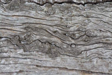 Tahta arka plan tasarımı için boş