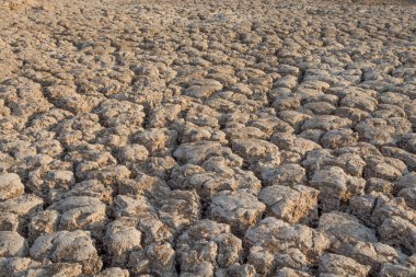 toprak kuraklığı çatlak doku