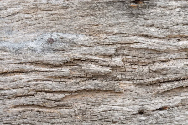 Holz Hintergrund Rohling Für Design — Stockfoto