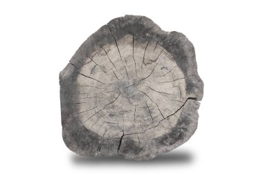 Ağaç halkası, ahşap yıllık yüzük, kırpma yolu