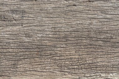 Tasarım için tahta dokusu arkaplanı boş