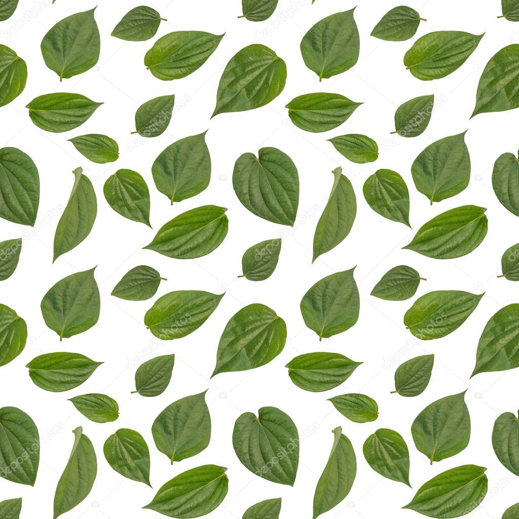 Isolated betel leaf seamless pattern in white background