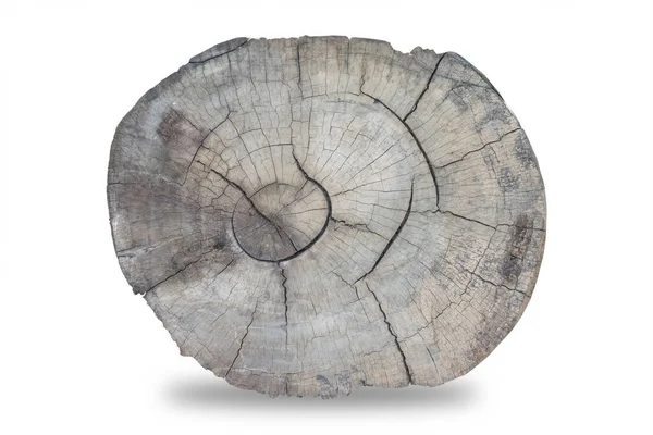 Tree Ring, wooden annual rings, Clipping path