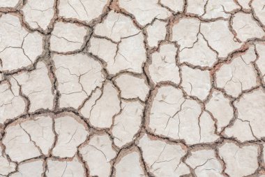 toprak kuraklığı çatlak doku