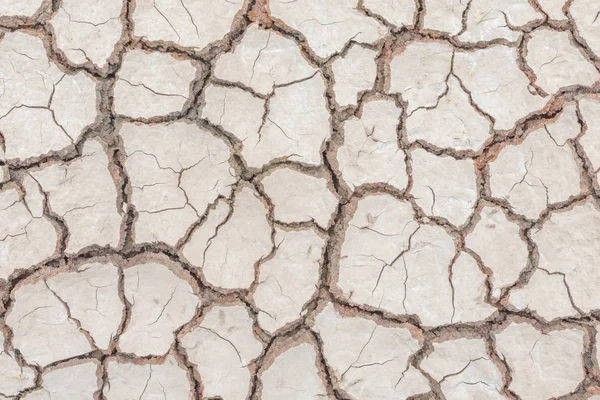 toprak kuraklığı çatlak doku