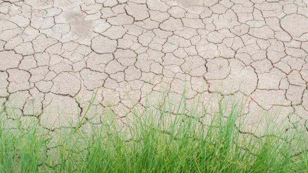 Fű a talaj szárazság repedezett textúra — Stock Fotó