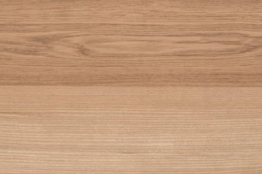 Wood background, Blank for design