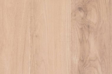 Wood background, Blank for design