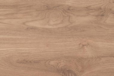 Wood background, Blank for design