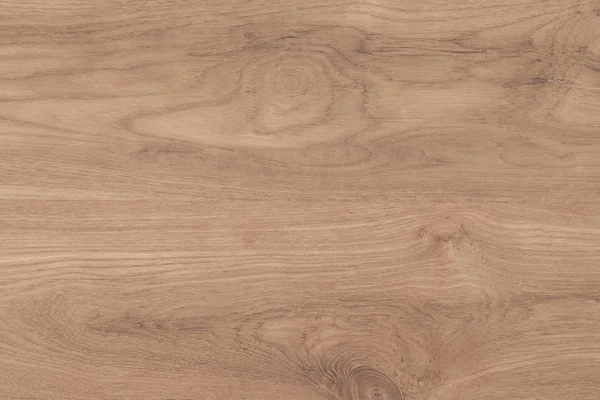 Wood background, Blank for design