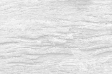 Tasarım için beyaz arkaplan tahta dokusu boş