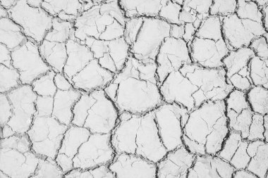 Toprak kuraklığı tasarım için beyaz arkaplanı çatlatır