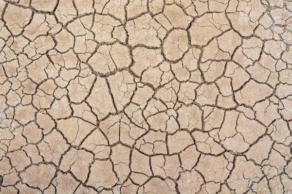 Soil Drought Cracks Texture White Background Design — Stock Photo, Image