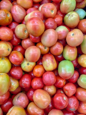 Domates çiftliği tarımı arka plan kırmızı yiyecek taze organik grup