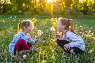 Çocuklar karahindiba otlaklarında yürür. Kızlar baharda parkta çiçeklere üflemeye başlar..