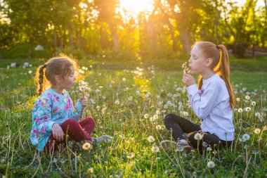 Çocuklar karahindiba otlaklarında yürür. Kızlar baharda parkta çiçeklere üflemeye başlar..