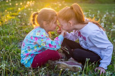 Çocuklar karahindiba otlaklarında yürür. Kızlar baharda parkta çiçeklere üflemeye başlar..
