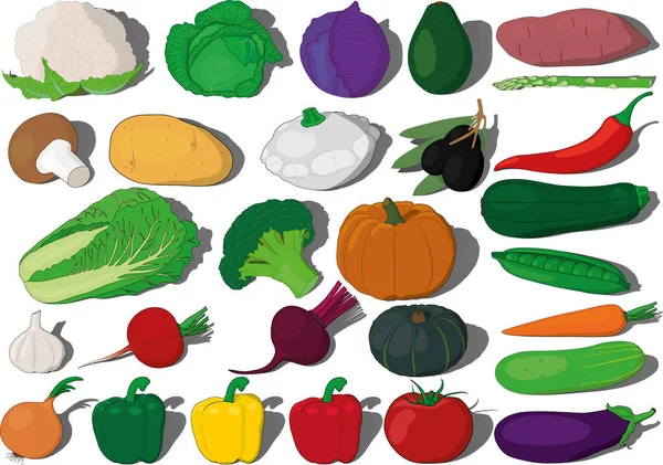 Grönsaker Mat Set Vektor Illustration — Stock vektor
