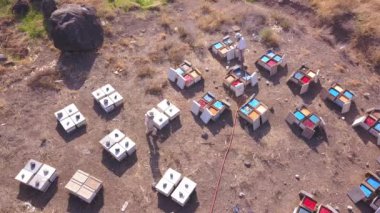 Arı kovanları bakım işi. Çalışırken arı bakıcılarının hava görüntüsü.