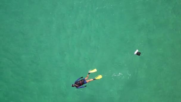 Flygfoto av en man Snorkling. — Stockvideo