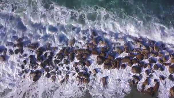 Oceánské vlny se lámou na vlnolamu v zimním moři. Letecký pohled shora dolů. — Stock video