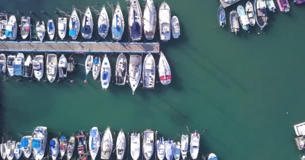 Повітряний вид гоночного човна входить у пристань, наповнену яхтами.. — стокове відео