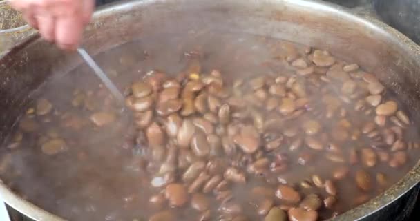 Kochen Vicia faba Bohnen in einem Topf mit Dampf heißem Wasser. — Stockvideo