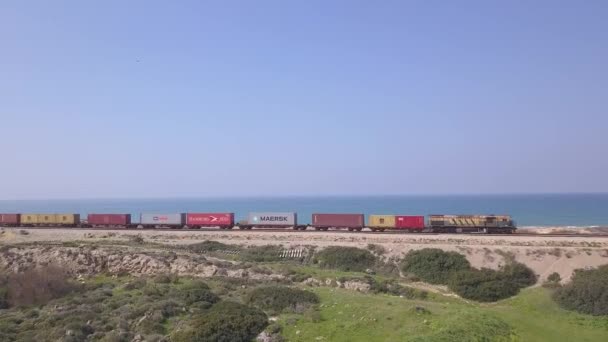 Грузовой поезд грузил грузовые контейнеры, пересекающие зеленое пастбище . — стоковое видео