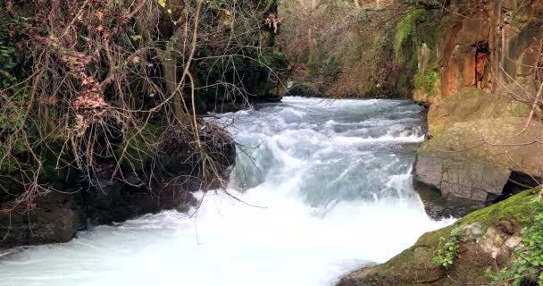 Air hujan yang mengalir cepat ke sungai. Dengan suara. — Stok Video