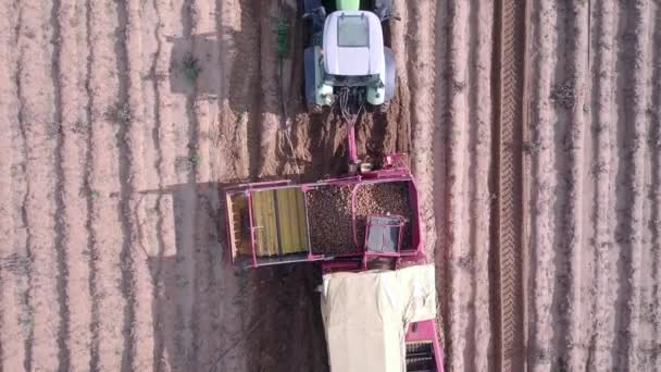 拖拉机在收割土豆的时候陷在地里了. — 图库视频影像