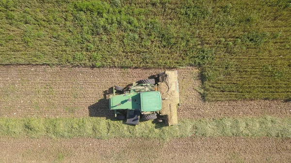 Łączenie zbiorów pszenicy na kiszonkę w ogromnym polu rolniczym. — Zdjęcie stockowe