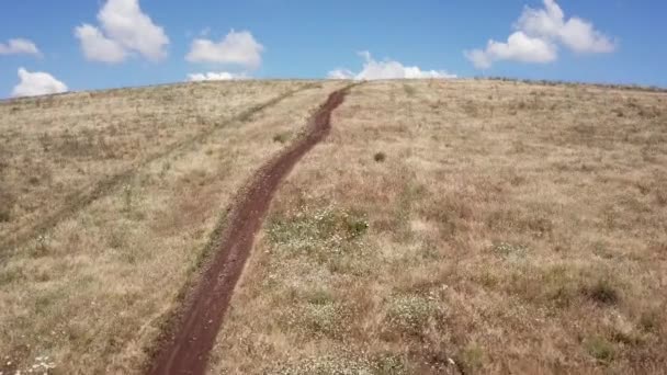 Drone shoot grimpe le long d'un chemin dans la nature, menant à un arbre au bout de la colline, et une vue sur le paysage vert et le ciel bleu est révélé. — Video