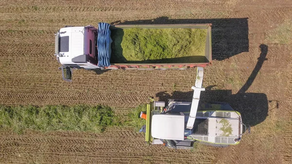 Combine a colheita de um campo e descarrega trigo para Silagem sobre um carrinho de reboque . — Fotografia de Stock
