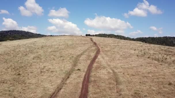 Drone skjuta klättrar längs en stig i naturen, som leder till ett träd i slutet av kullen, och en utsikt över grönt landskap och blå himmel avslöjas. — Stockvideo