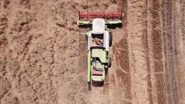 Vista aérea da colheita do trigo . — Vídeo de Stock