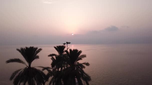 Luchtfoto van een boomsilhouet en rustig uitzicht op het meer bij zonsopgang. — Stockvideo