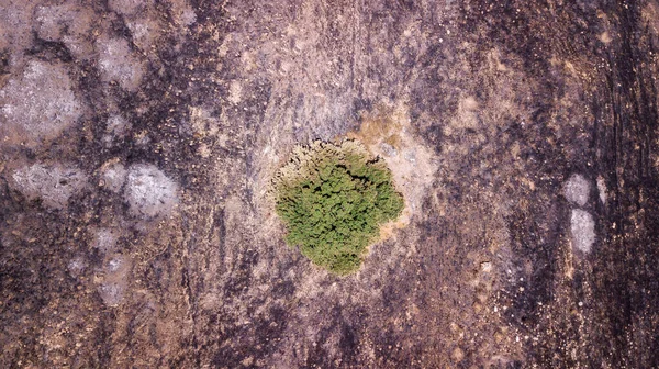 Вид на дрон на зелене дерево на пост Лісовій пожежній землі . — стокове фото