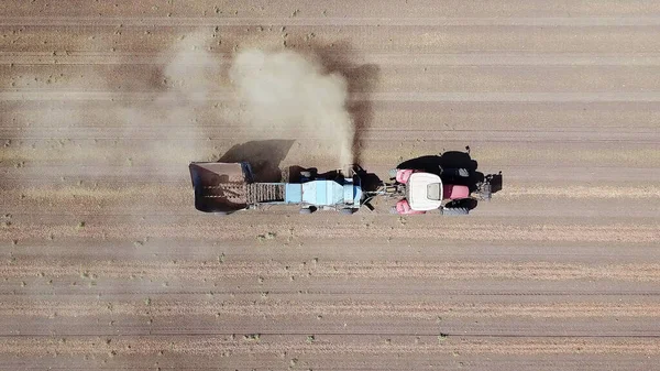 Almendra cosechadora procesar un campo y recoger las almendras secas del suelo y soplar el polvo. — Foto de Stock