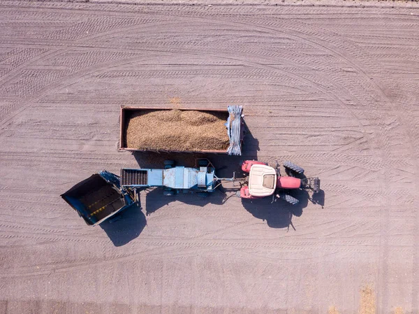 Almendra cosechadora descarga de almendras recogidas en seco en un remolque, Vista aérea. — Foto de Stock