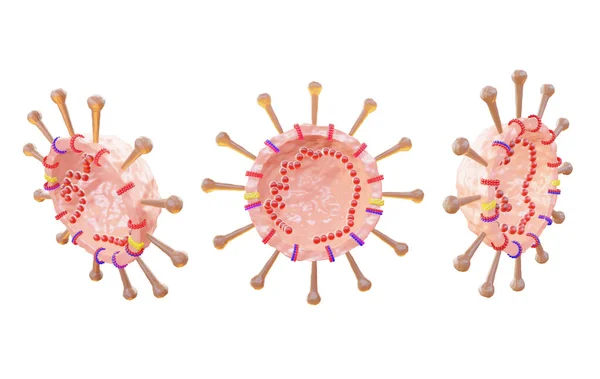 Coronavirus hücre yapısı, Corona virüsü anatomisi beyaz arka planda izole edildi. 3d hazırlayıcı.