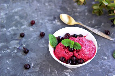 Tatlı, donmuş yoğurt ya da koyu gri arka planda beyaz kasede siyah frenk üzümü dondurması. Siyah frenk üzümü ve taze nane ile süslenmiş. Yaz tatlıları konsepti. Boşluğu kopyala.