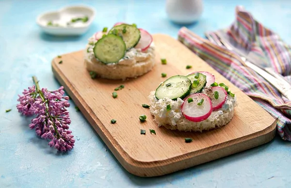 Weißbrotsandwiches Mit Gesalzenem Quark Frischem Rettich Und Gurken Auf Hellblauem — Stockfoto