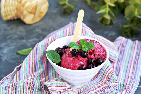 Dessert, frozen yogurt or black currant ice cream in a white bowl on a dark gray background. Decorated with berries of black currant and fresh mint. Summer desserts concept. Copy space.