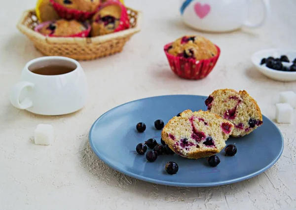 Krájený Muffin Černým Rybízem Modrém Talíři Světle Betonovém Pozadí Americká — Stock fotografie