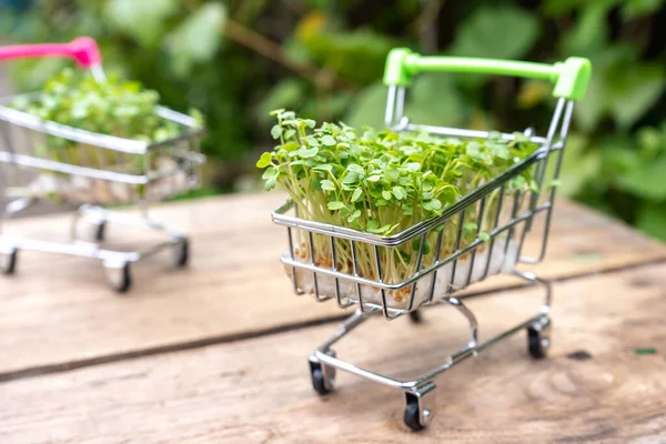 新鮮なエコ農業の緑の配信の概念は 木製の背景にショッピングカートで若いマイクログリーン — ストック写真