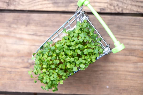 Frisches Öko Landwirtschafts Grünlieferkonzept Junge Microgreens Einkaufswagen Auf Holzuntergrund — Stockfoto