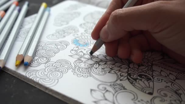 Download 87 Colouring Book Stock Videos Royalty Free Colouring Book Footage Depositphotos